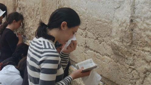 娱乐吃瓜君白鹿,娱乐吃瓜君的甜蜜蜕变之旅